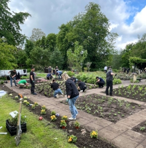 Beim „Day of Caring“ der Firma Gilbarco engagierten sich rund 45 Mitarbeitende im Mutterhausgarten der Franziskanerinnen Salzkotten. Gemeinsam wurden Beete gepflegt, Stauden gepflanzt und Gartenanlagen verschönert. Foto: Franziskanerinnen Salzkotten